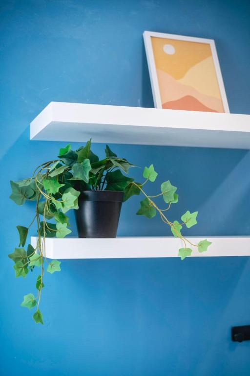 Mandera's Boutique Suites & Dorms - 19