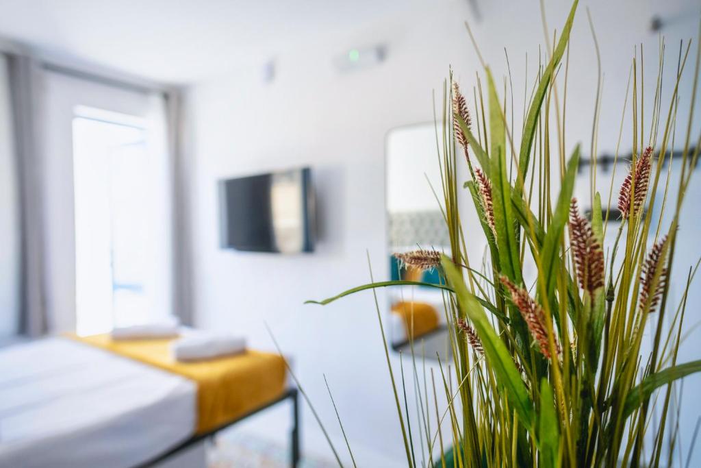 Mandera's Boutique Suites & Dorms - 9