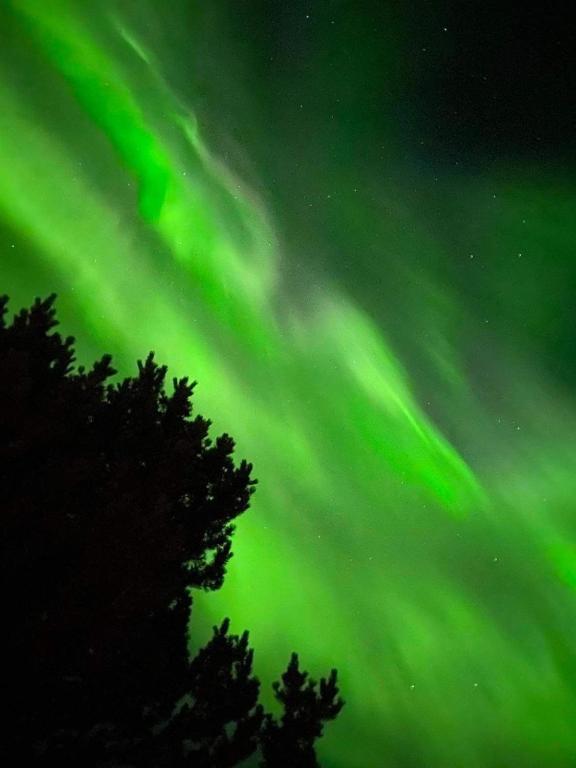 Fotografie z fotogalerie ubytování Heklan v destinaci Hafnarfjördur