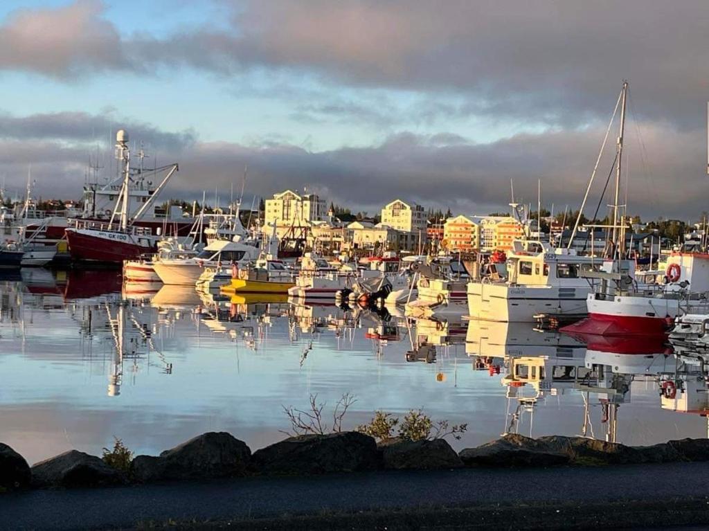 Fotografie z fotogalerie ubytování Heklan v destinaci Hafnarfjördur