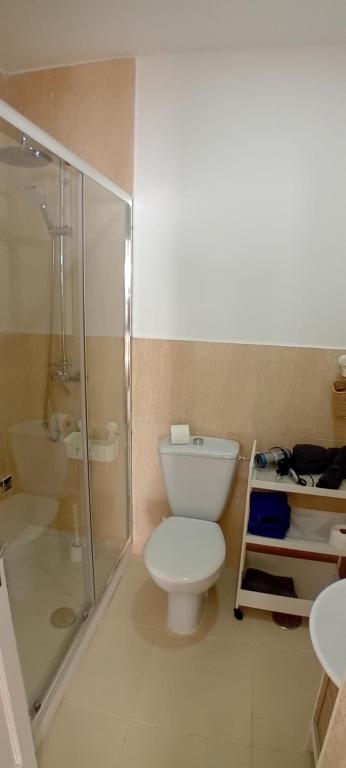 e bagno con servizi igienici e doccia in vetro. di Casa tomas C a Villaverde