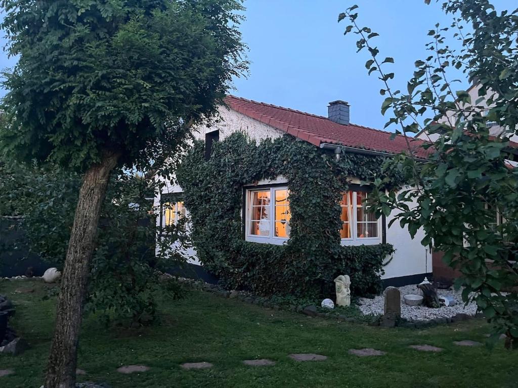 AltenstadtにあるIdyllische Gästehaus im grünenの蔦の木が横に生えている家