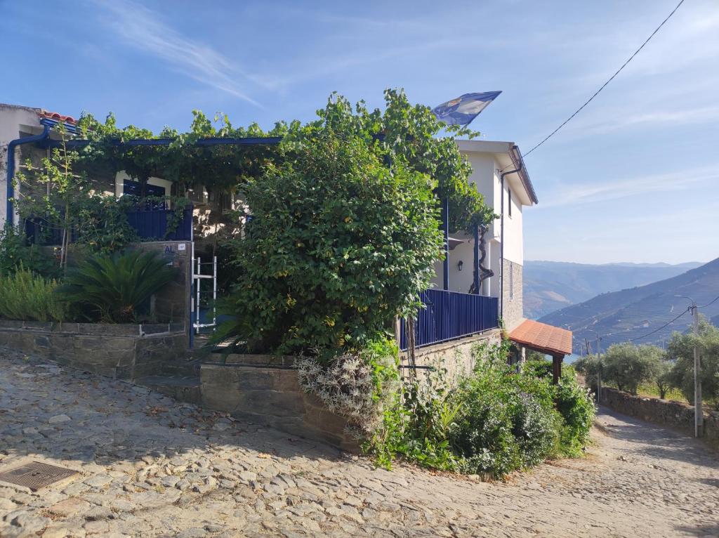 a house with a tree in front of it at Encosta do Pinhão in Casal de Loivos