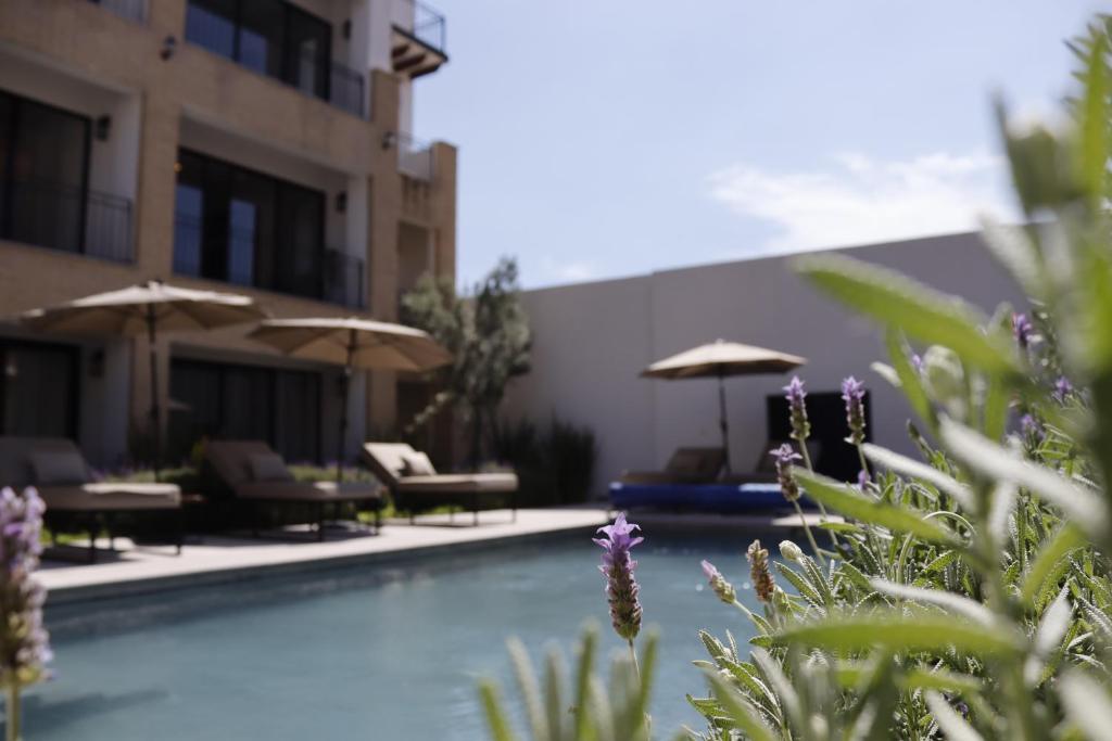 a swimming pool with chairs and umbrellas in a building at Residencias La Estación San Miguel de Allende in San Miguel de Allende