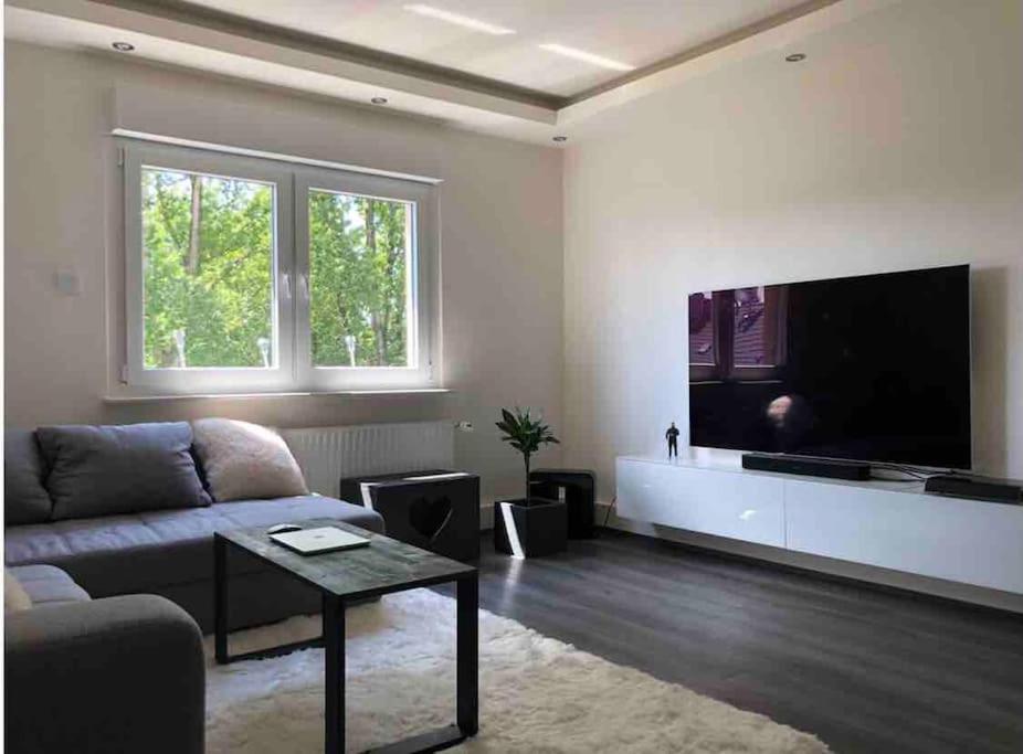 sala de estar con sofá y TV de pantalla plana en Schöne moderne Eigentumswohnung in Bochum-City en Bochum