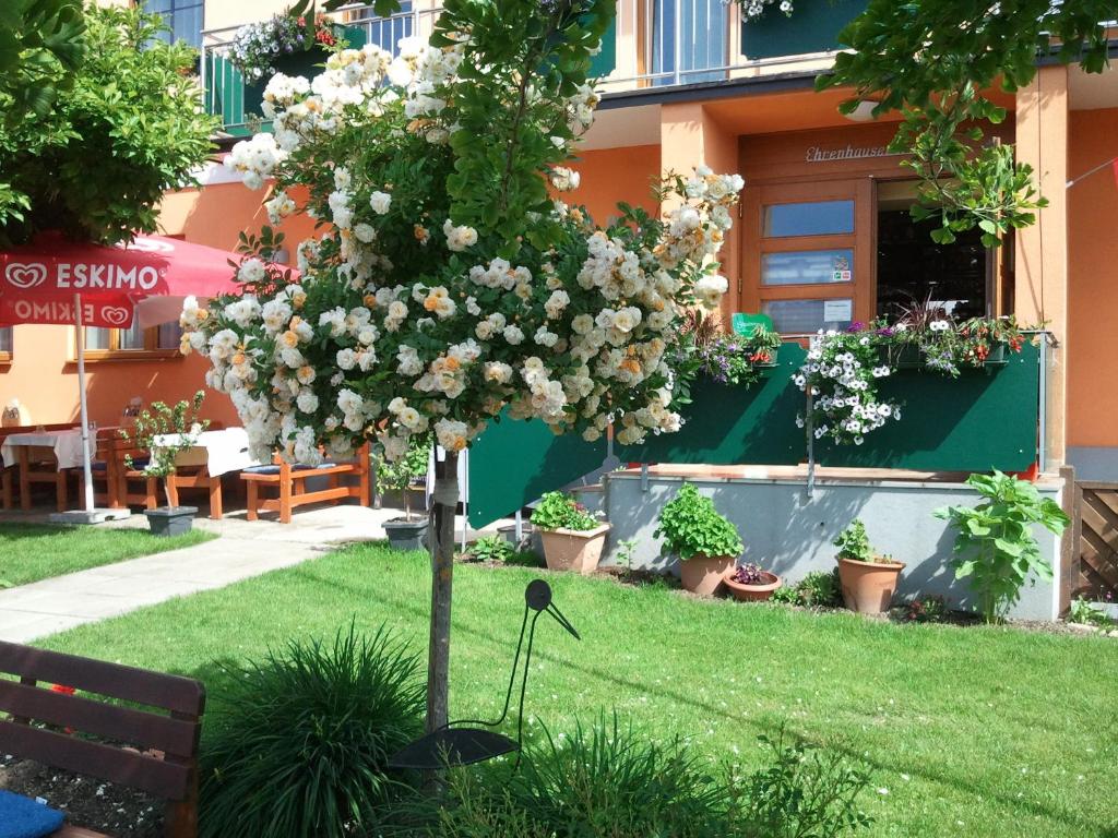 a tree in the grass in front of a building at Rebenlandhof in Leutschach