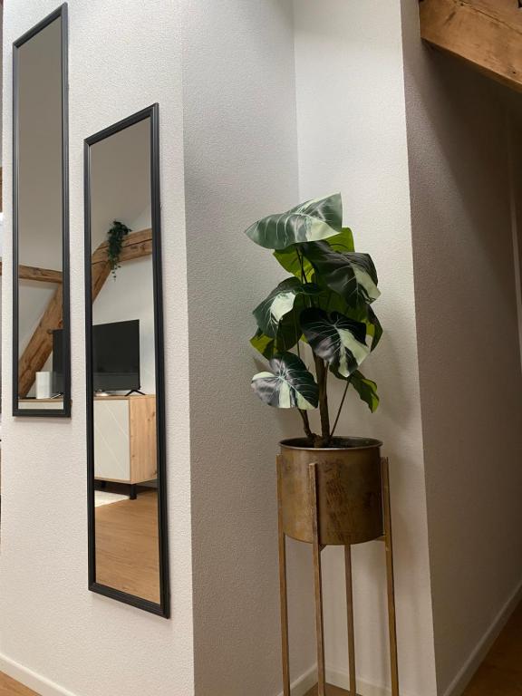 Eine schöne Wohnung an der Birs - Resim 6