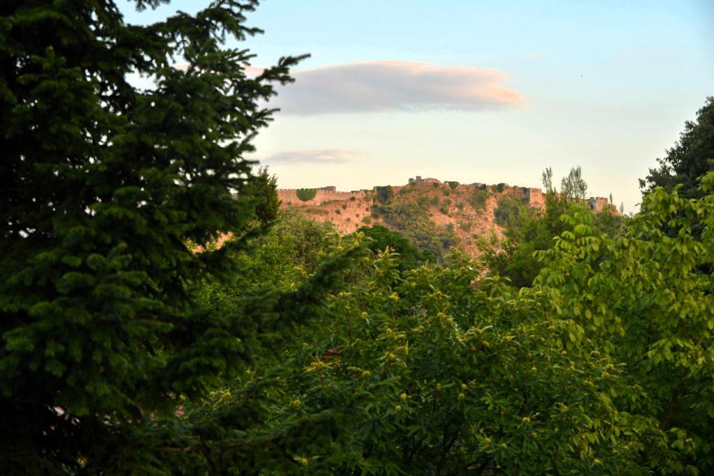 Village of Peace - House 40 - Imazhi 7