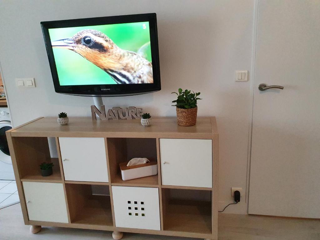 TV in/ali zabavi&scaron;&#x10D;no sredi&scaron;&#x10D;e v nastanitvi Magnifique appartement avec garage priv&eacute; et terrasse