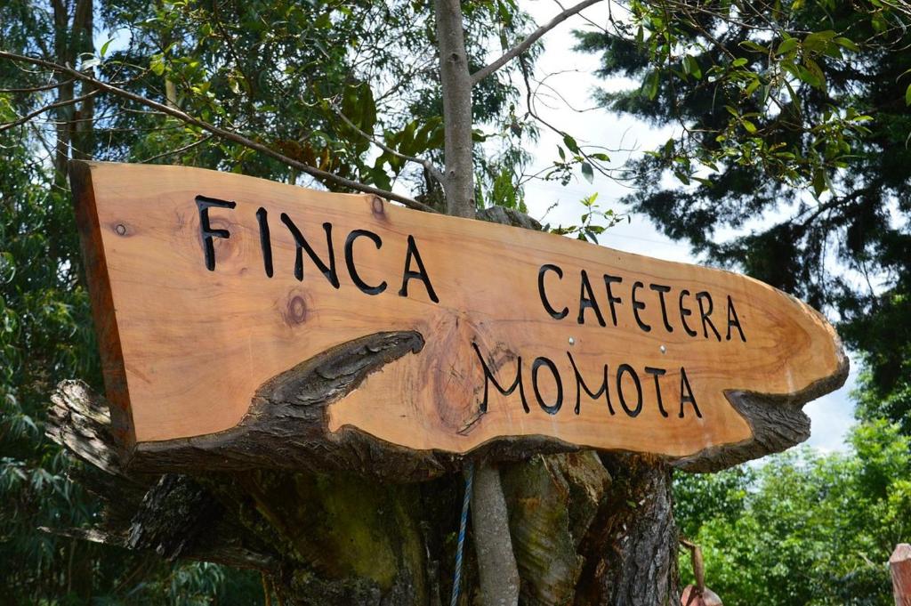 a sign that reads finica cathedral monoko on a tree at Finca Momota Salento in Salento