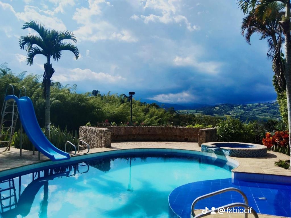a pool with a palm tree and a slide at Finca BellaVista, Lago Calima: Hermosos Paisajes in Darién