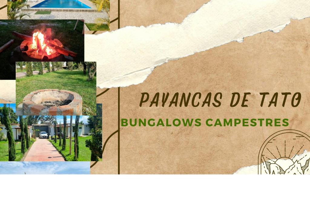 Fotografie z fotogalerie ubytování Bungalows Payancas de Tato v destinaci Barranca