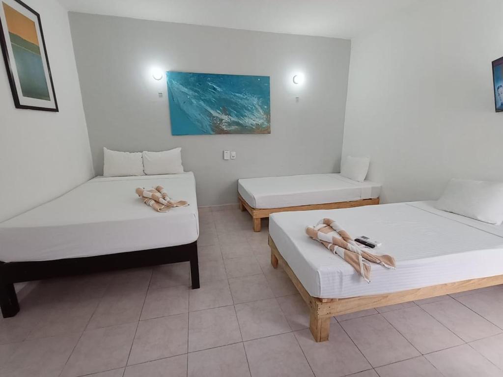 um quarto com duas camas e duas em Casa Maria Fernanda em Playa del Carmen