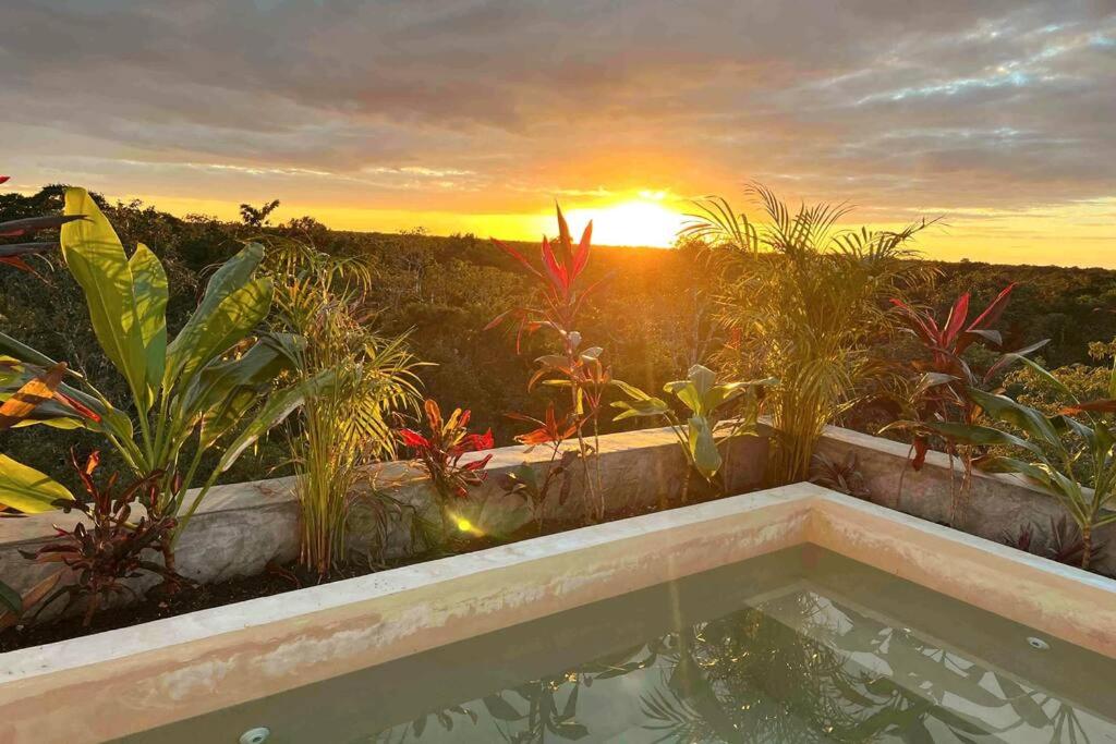 una bañera de hidromasaje en un jardín con puesta de sol en el fondo en Lush Tulum Rooftop Condo with Ensuite Pool & Wifi, en Tulum