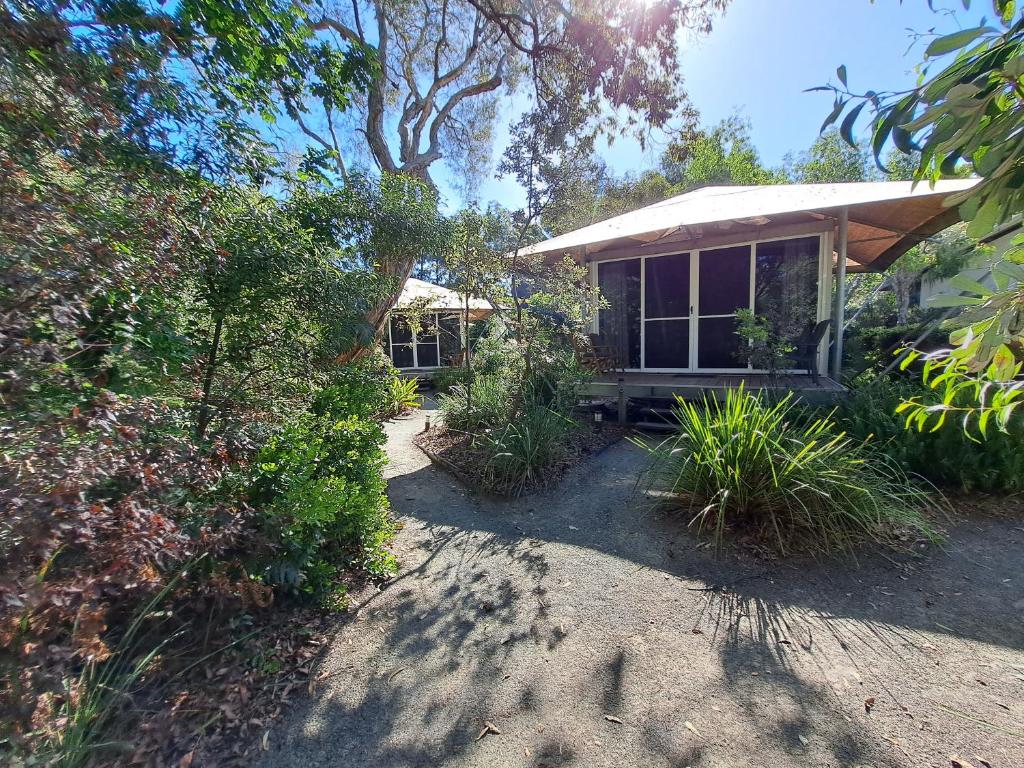 a house with a window and plants in front of it at Castaways Moreton Island in Bulwer