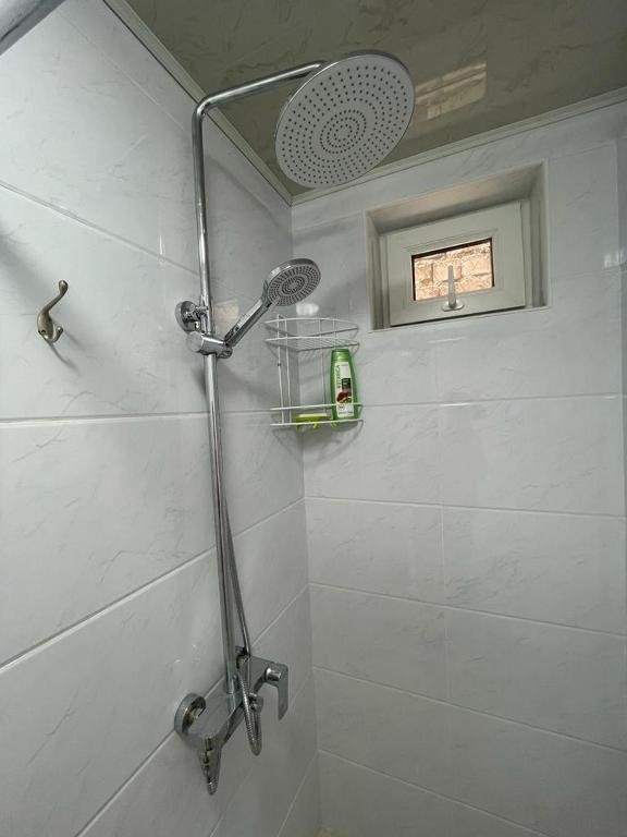 Koupelna v ubytování Guest House Semetei