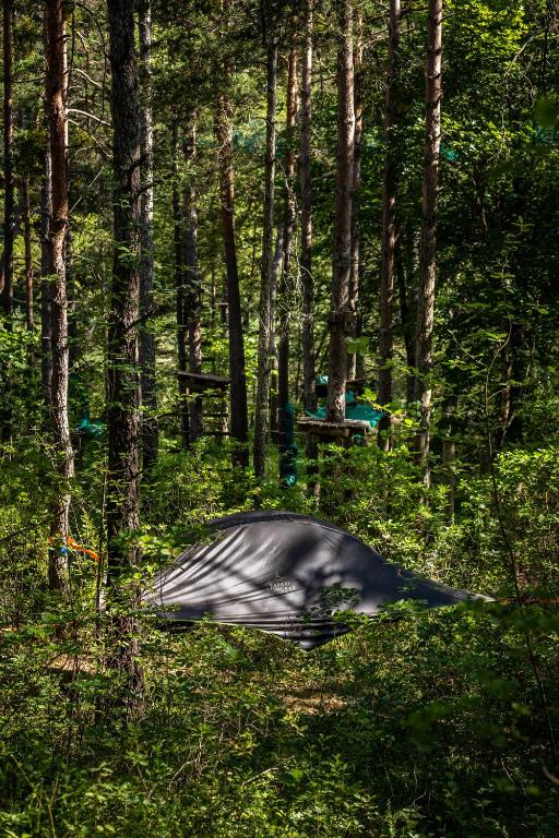 Příroda nedaleko luxury tent