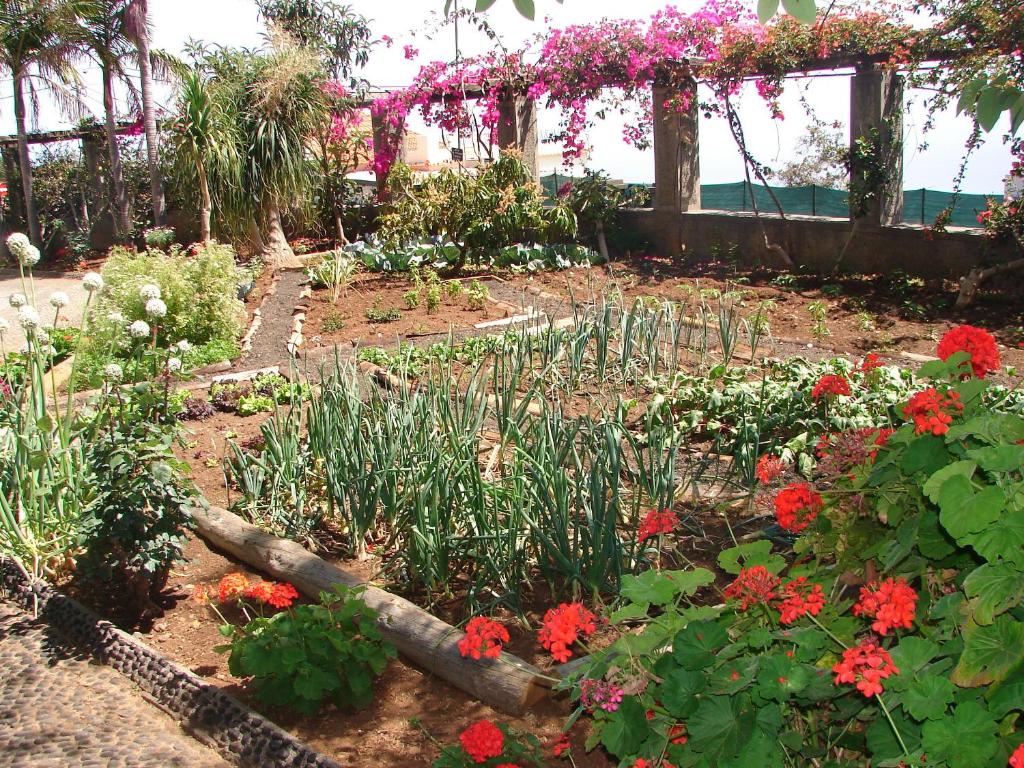 Quinta do Bom Sucesso - 18