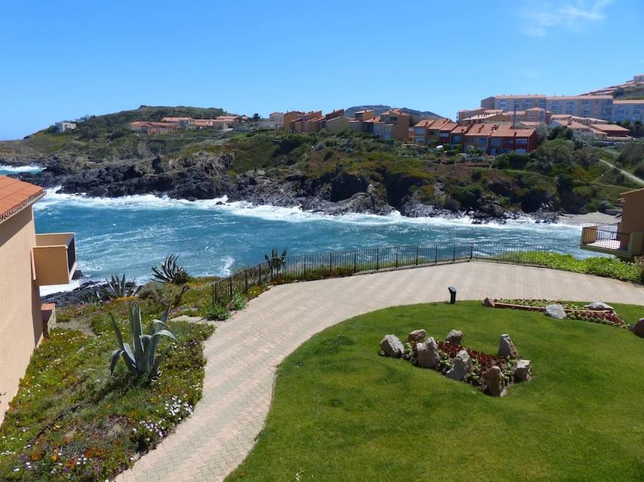 une personne debout sur une pelouse près de l'océan dans l'établissement COLLIOURE Appart En Bord de MER PLAGE à 50m CLIM Garage location du samedi au samedi, à Collioure