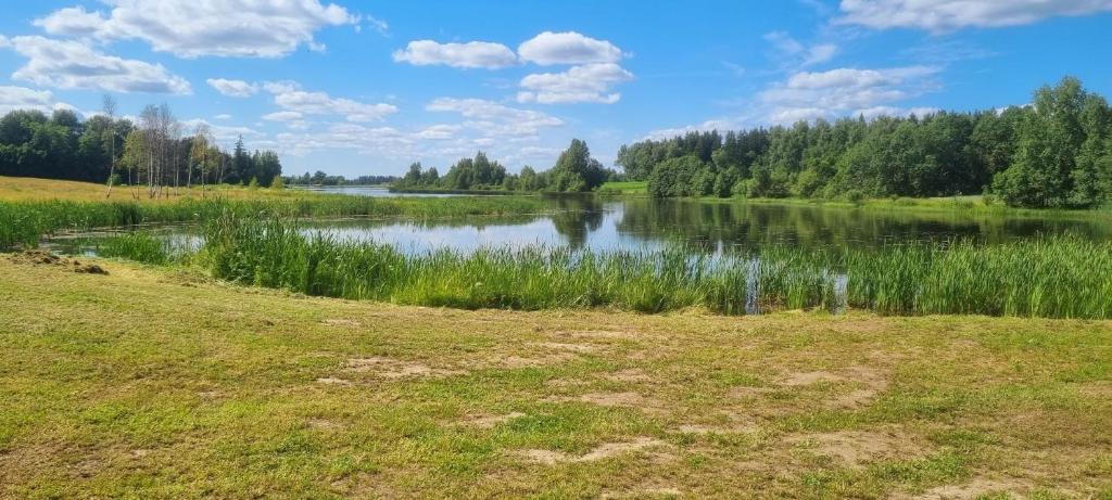 Elle offre une vue sur un lac avec de la pelouse et des arbres. dans l'établissement A&G SODYBA CAMP žvejų kampelis, à Plungė
