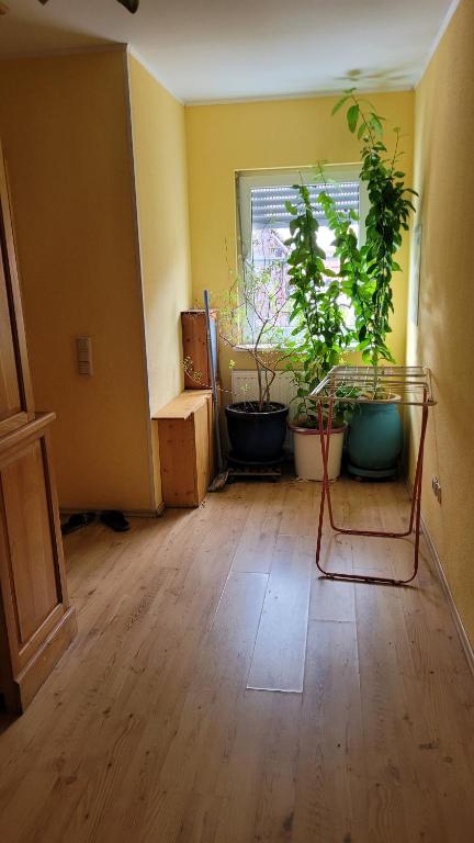Fotografie z fotogalerie ubytování Selzen v destinaci Selzen