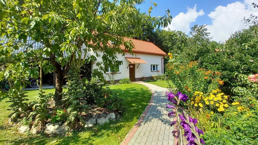 a house with a garden and a walkway at Ranczo na skarpie in Frampol