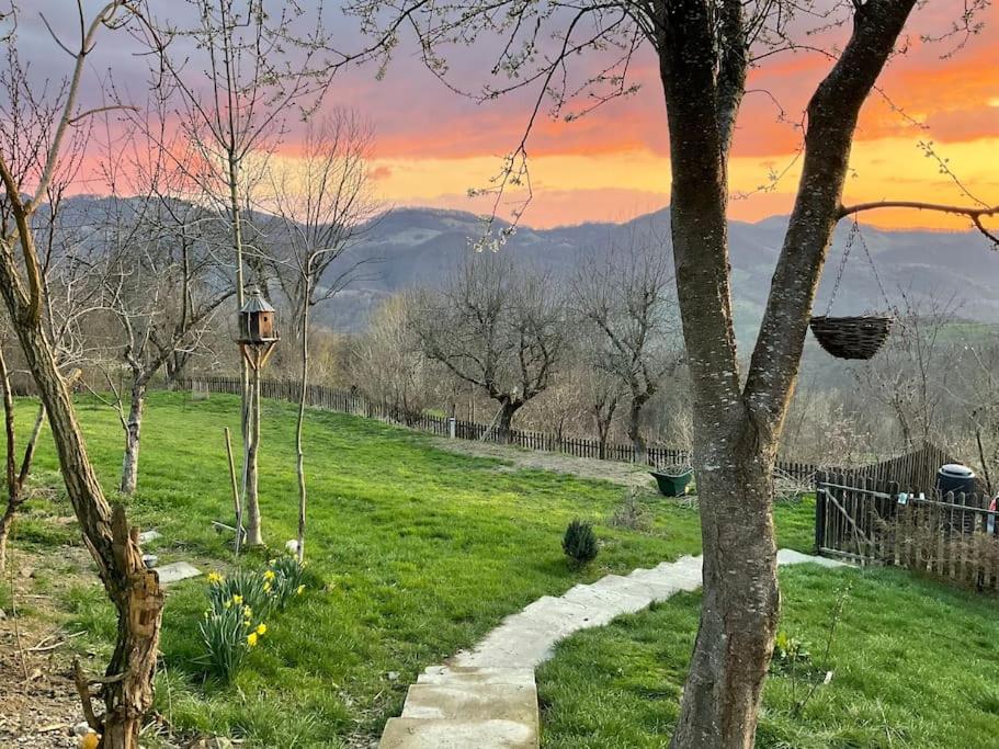 a path in a field with a sunset in the background at Apusenia - darul naturii 