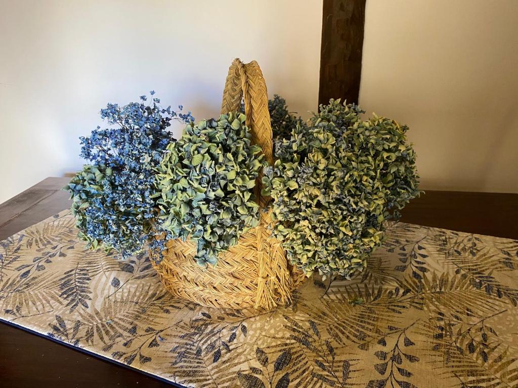 DOMUS ALFILERITOS - 6