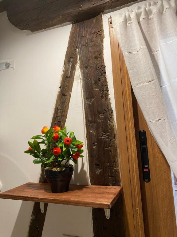 DOMUS ALFILERITOS - 15