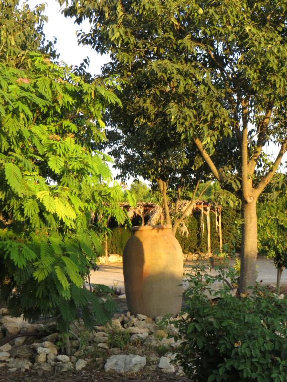 Kép HOTEL ENOTURISMO MAINETES szállásáról Fuente Álamóban a galériában