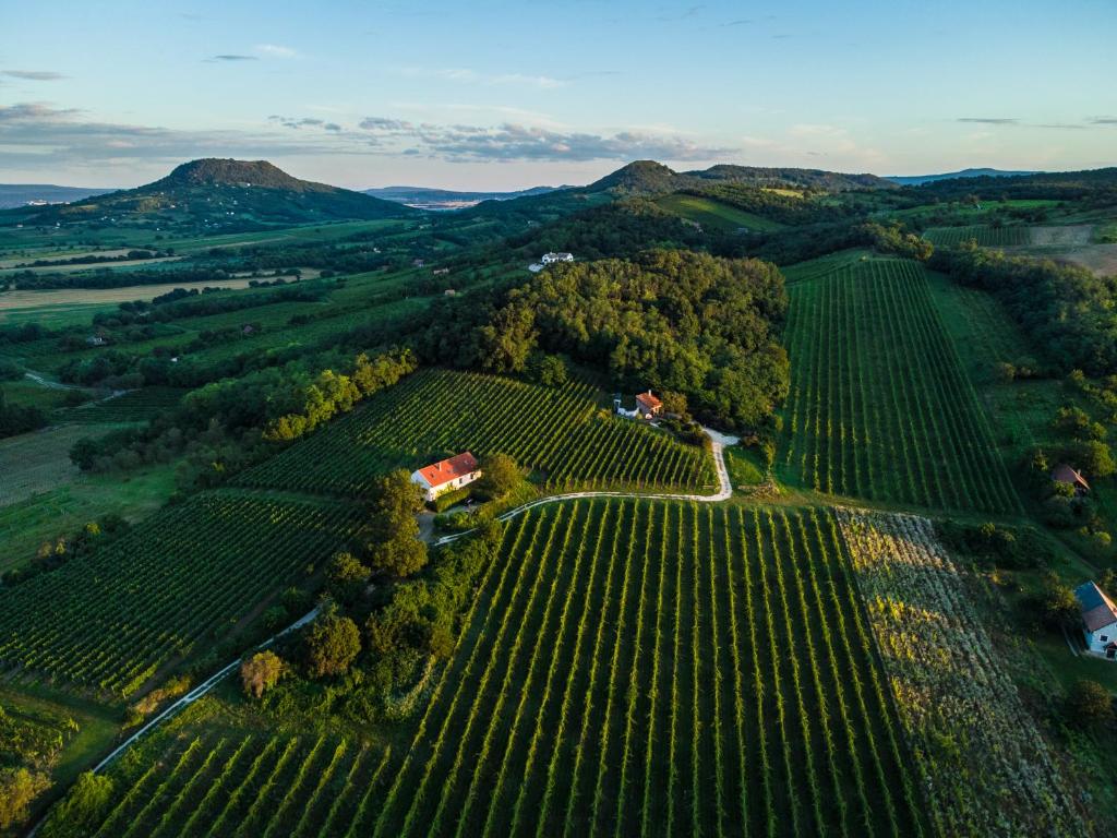 an aerial view of a vineyard in the hills with a house at Káli Panorama Resort in Mindszentkálla