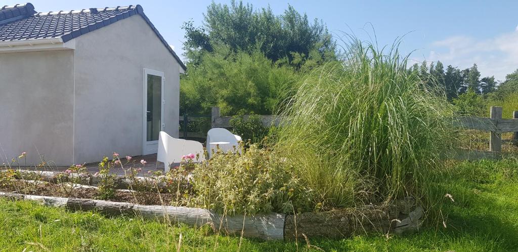 un jardin avec deux chaises blanches et de grandes herbes dans l'établissement L Hyppo Camp', à Oye-Plage
