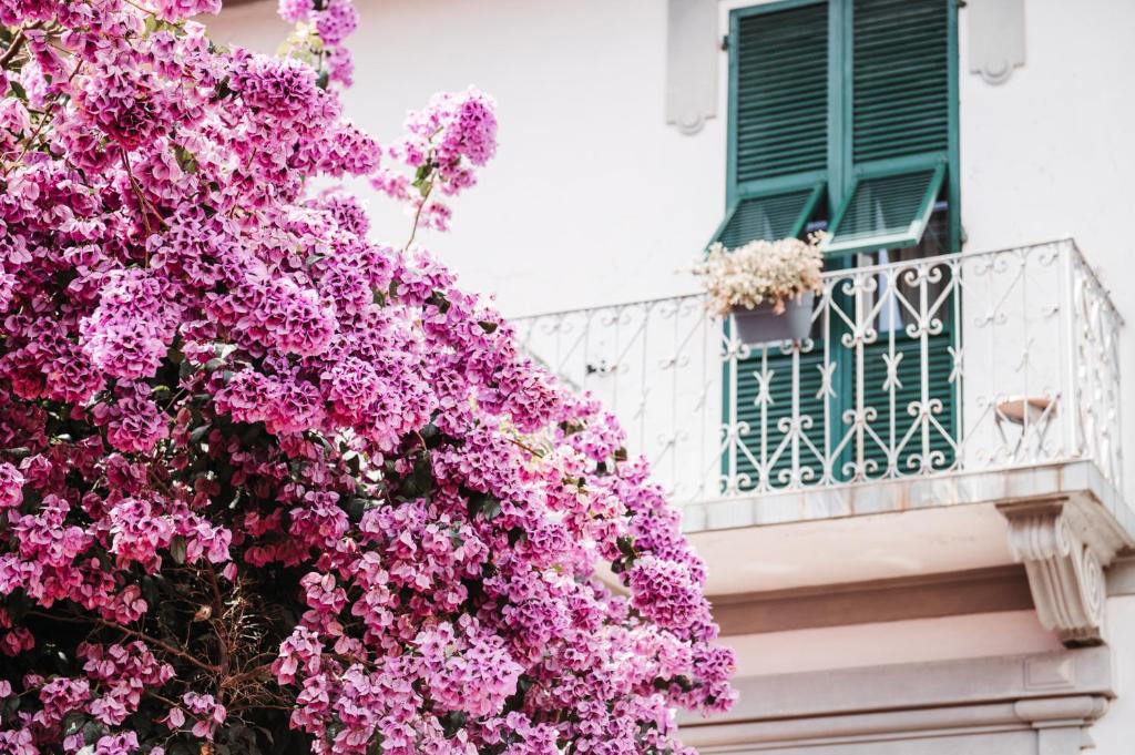 un ramo de flores rosas en un balcón con ventana en Casa elegante in mezzo al verde, en La Spezia