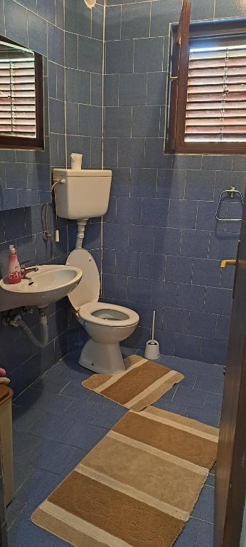 A bathroom at Bakovic Apartmani