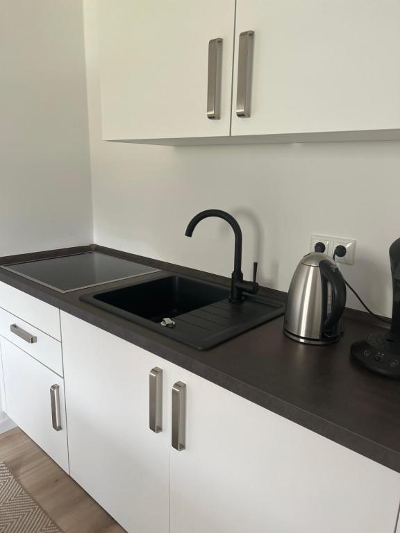 Kuchyň nebo kuchyňský kout v ubytování Hürth/Köln Gästewohnung