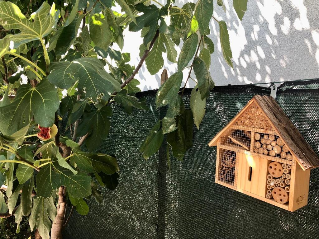 Giardino di Affittacamere Due Mori