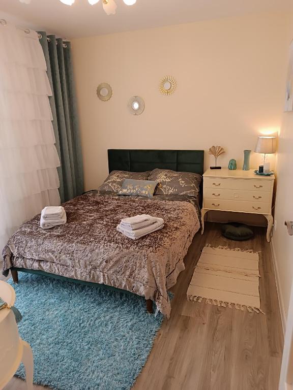 Appartements F3 Design Colmar+parking free – photo 7