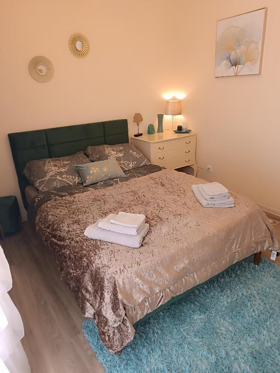 Appartements F3 Design Colmar+parking free – photo 10