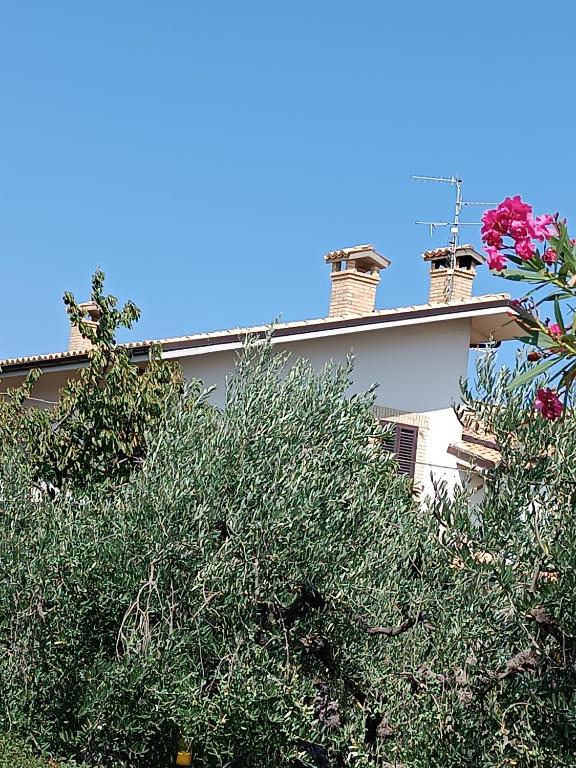Zahrada ubytování B&B "LE LUCI" SUPER CAMERA IN ATTICO interno 3 rose rosse