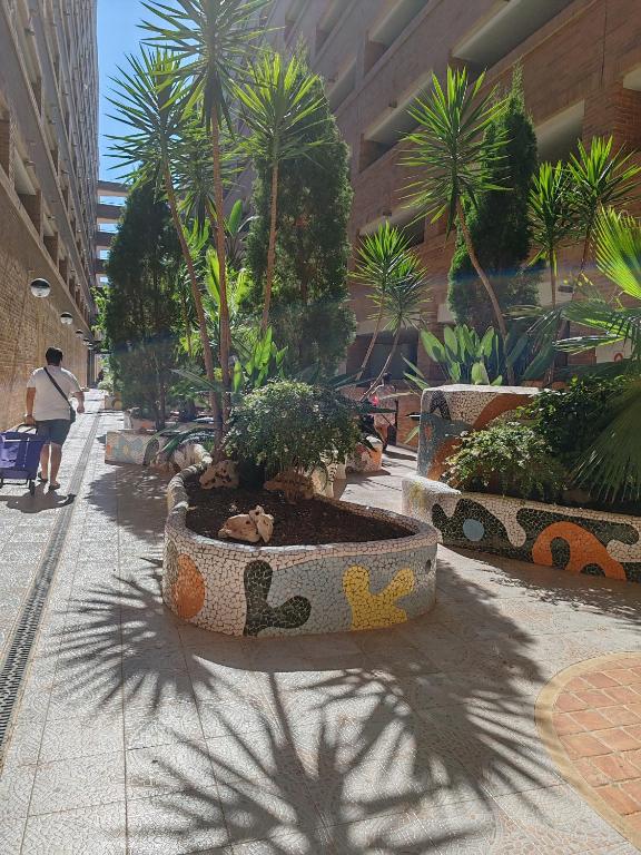 Fotografia z galérie ubytovania Apartamento MAGIC WORLD nueva Marina D`or 2 dormitorios Edificio Torremar v destinácii Oropesa del Mar