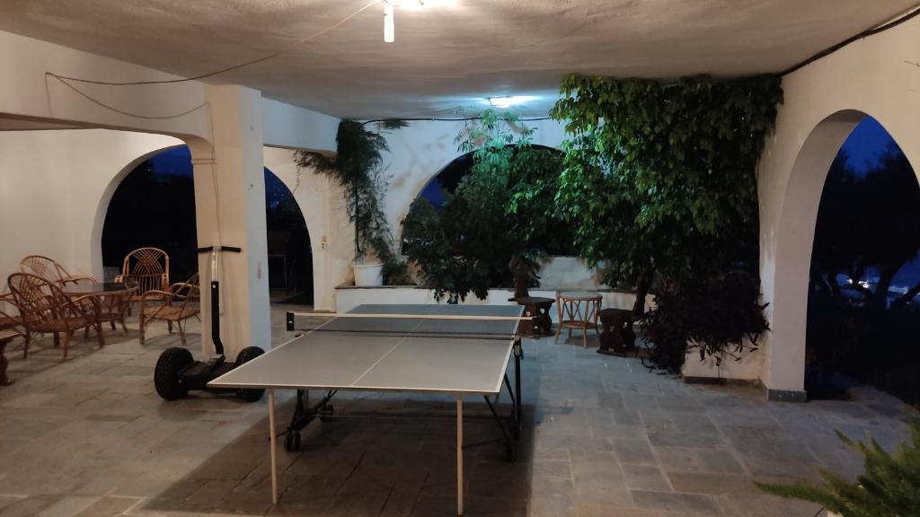 Stolní tenis v ubytování ANTIKa 6 nebo okolí