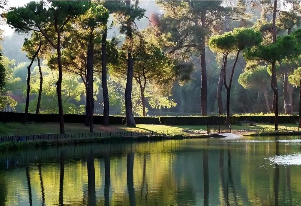 widok na jezioro z drzewami i park w obiekcie Classy & Refined near Villa Ada by NDP rent w Rzymie