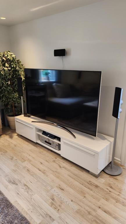 TV a/nebo společenská místnost v ubytování Tift bossgård