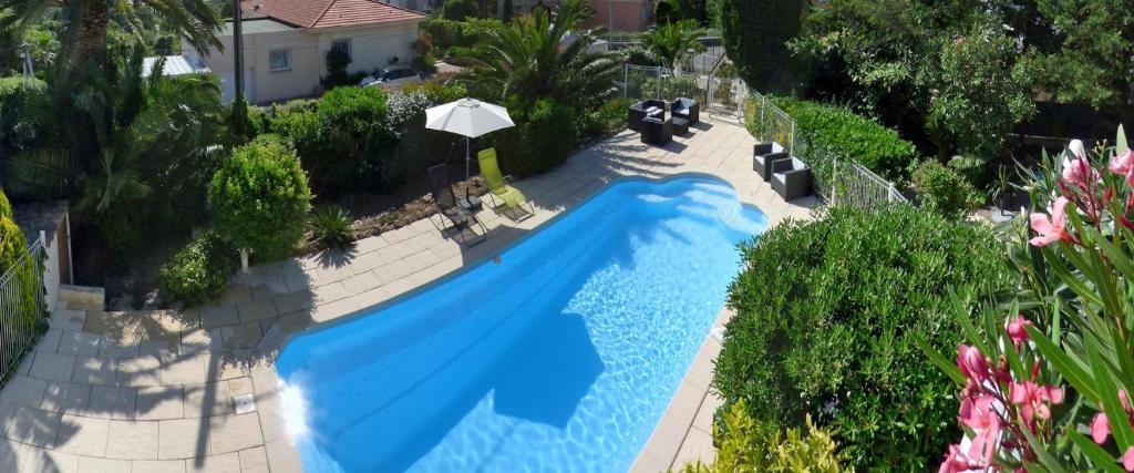 an overhead view of a large blue swimming pool at Au Reveil des Cigales in Saint-Aygulf