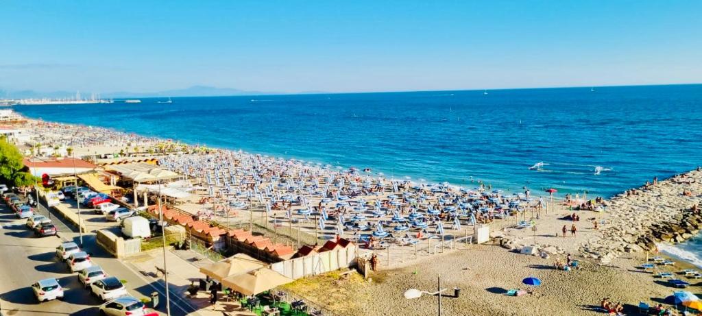 BluMare ArtHouse - 11