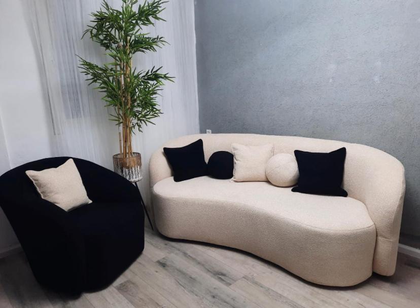 a living room with a couch and a plant at Sonego suite in Acre