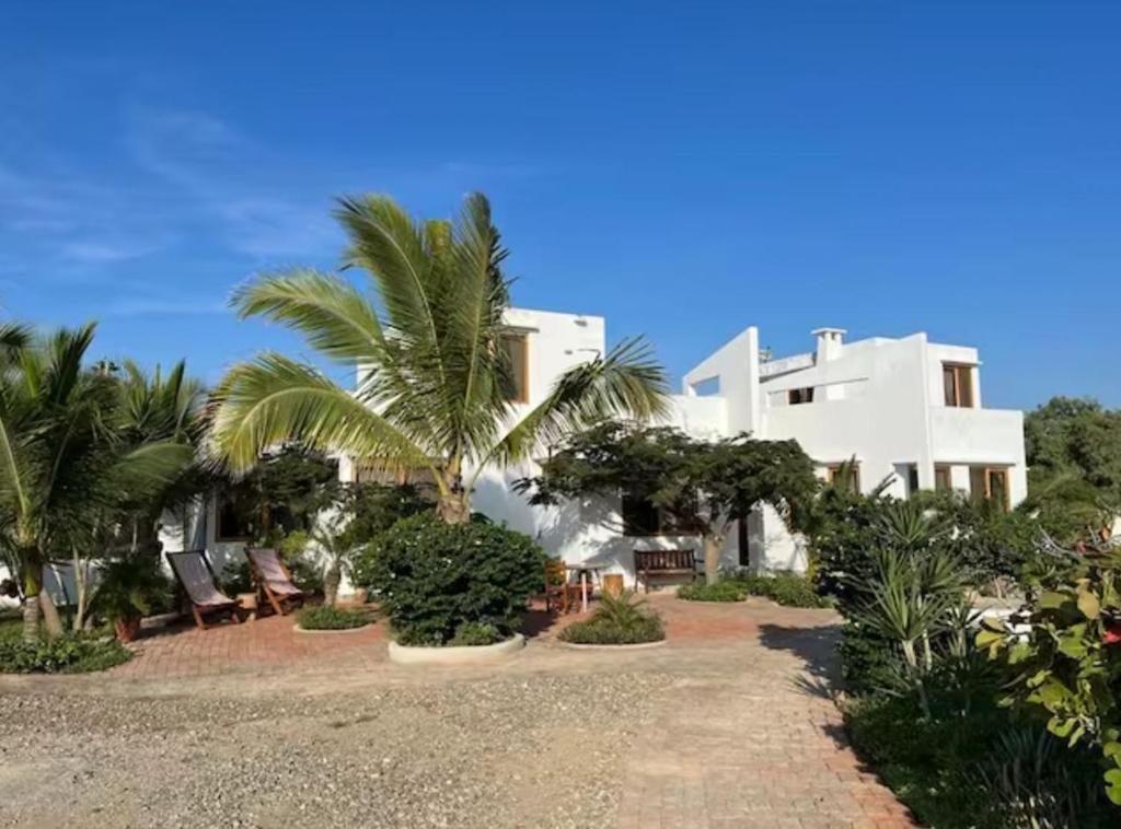 un gran edificio blanco con palmeras delante en La casa blanca b&b, en Vichayito