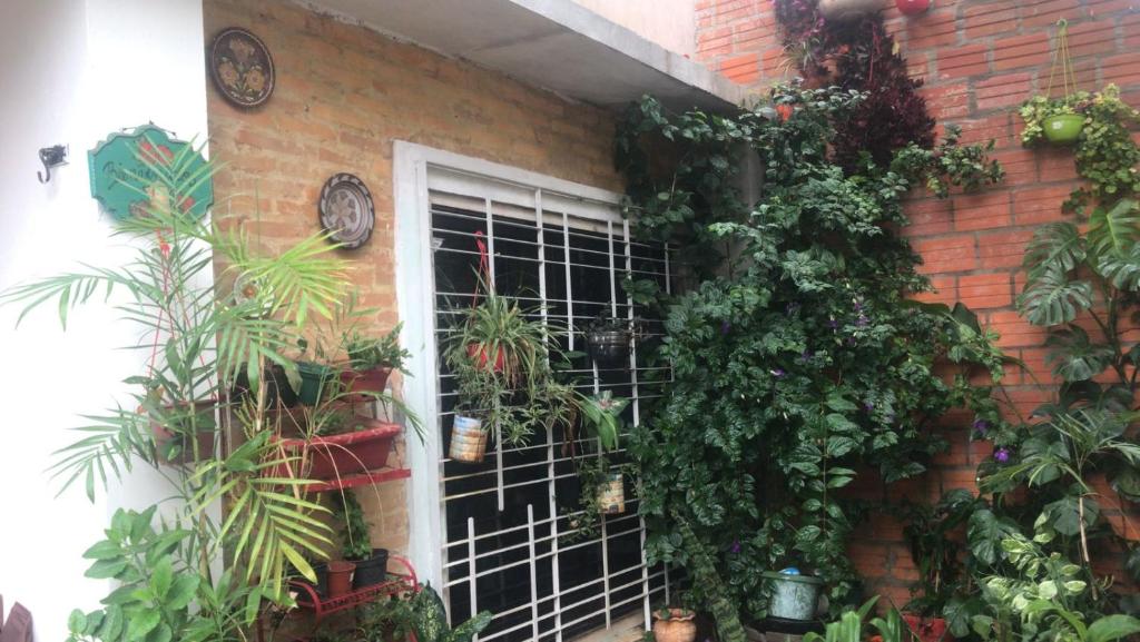Zahrada ubytování La Petite Maison de Diana