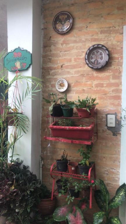 Fotografie z fotogalerie ubytování La Petite Maison de Diana v destinaci Asunción