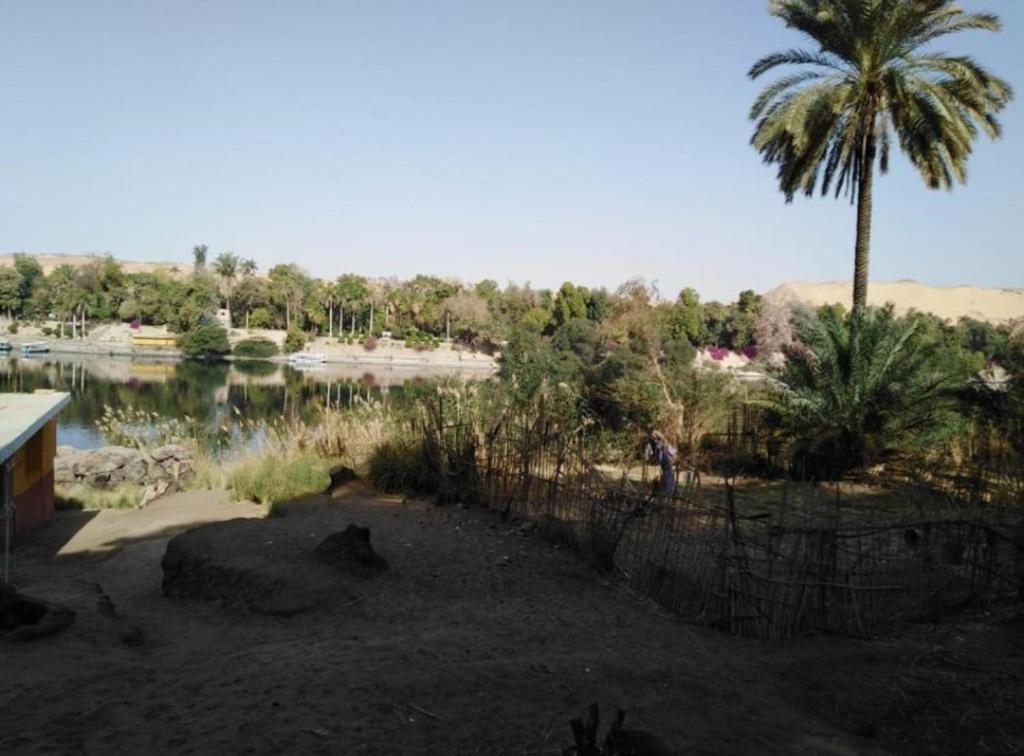 a zoo with a palm tree and a body of water at NUBA ONe in Aswan